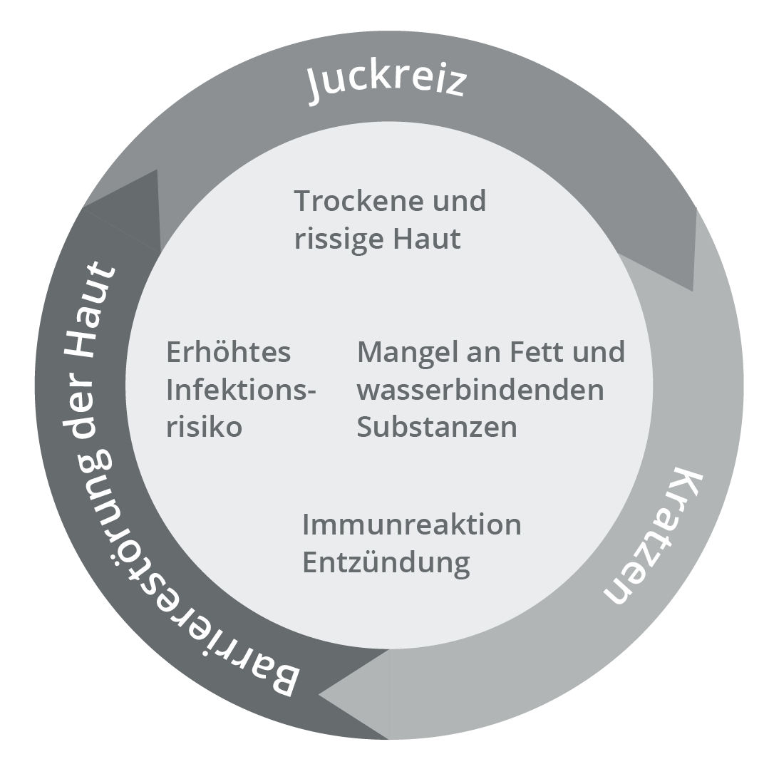 Juck-Kratz-Kreislauf