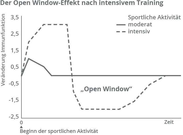 Der Open Window-Effekt nach intensivem Training