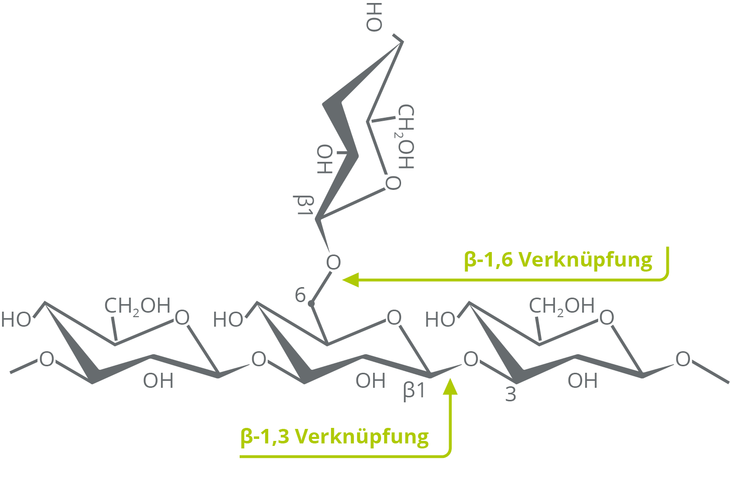 Strukturformel von Beta-Glucan mit β-(1,3)-(1,6)-glykosidischen Bindungen