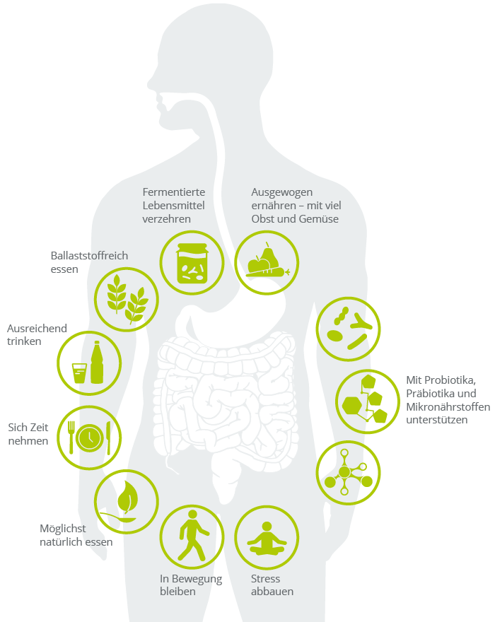  Bausteine eines darmgesunden Lebensstils