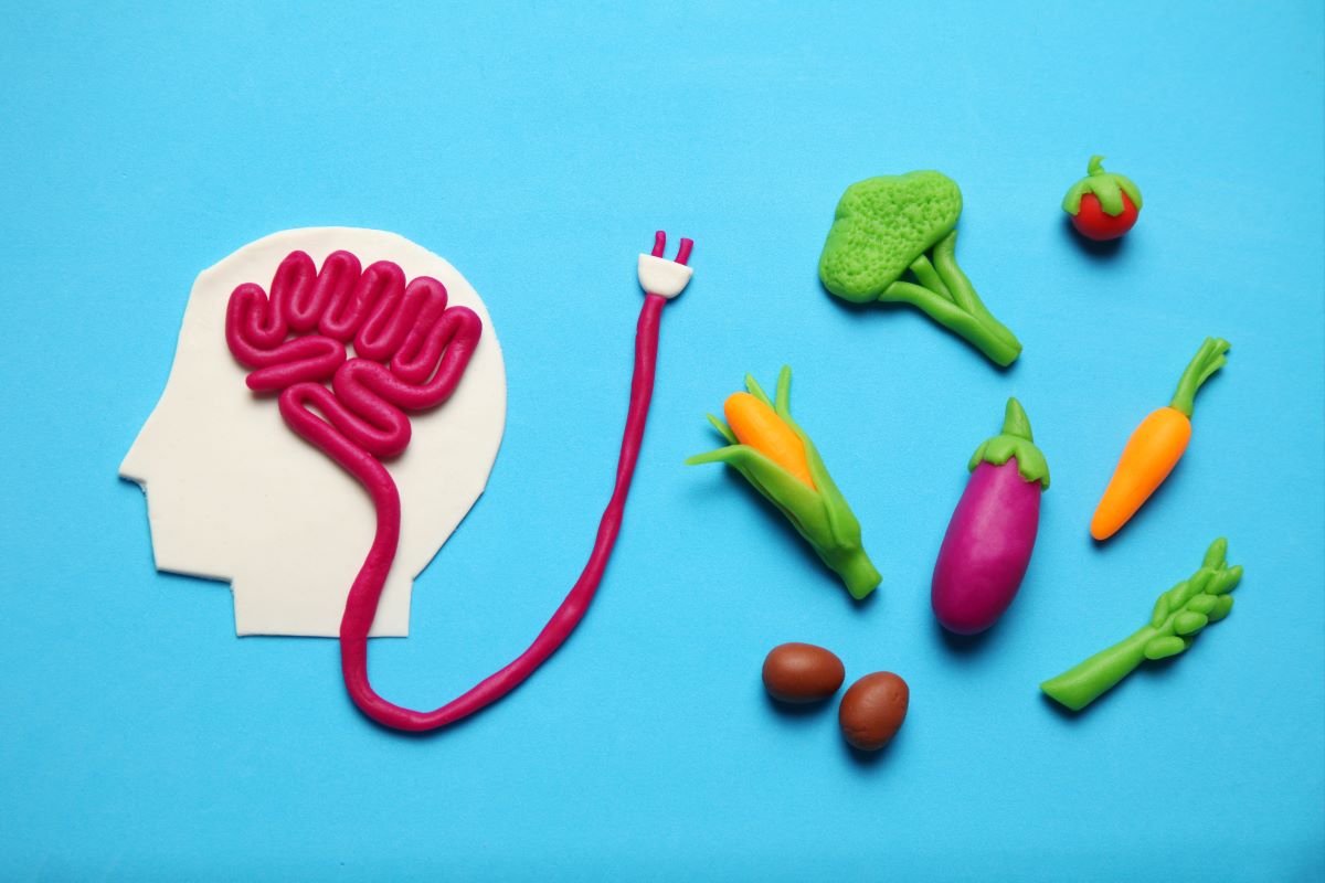 Brainfood: Können Ballaststoffe mein Appetitgefühl beeinflussen? Aktuelle Forschungsergebnisse 