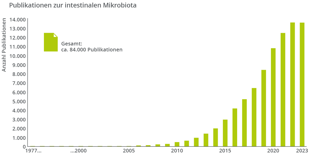 Publikationen